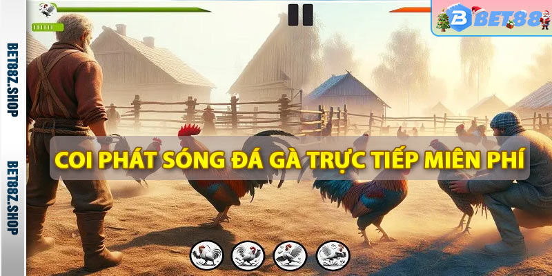 Đá Gà Bet88 - Trang Cá Độ Đá Gà Thomo Campuchia