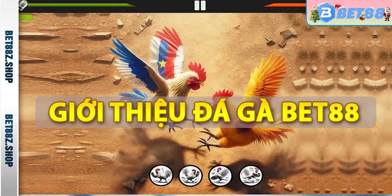 Đá Gà Bet88 - Trang Cá Độ Đá Gà Thomo Campuchia