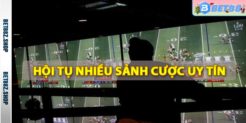 Thể Thao Bet88 - Trang Cá Độ Thể Thao Trực Tuyến Số 1