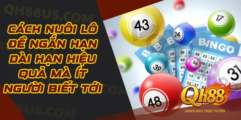 Cách nuôi lô đề ngắn hạn dài hạn hiệu quả mà ít người biết