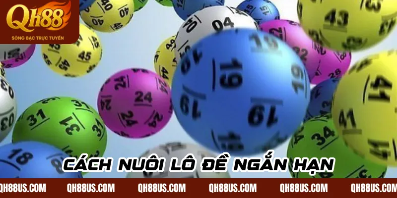 Cách nuôi lô đề ngắn hạn dài hạn hiệu quả mà ít người biết