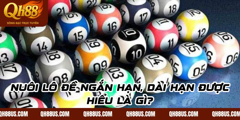 Cách nuôi lô đề ngắn hạn dài hạn hiệu quả mà ít người biết