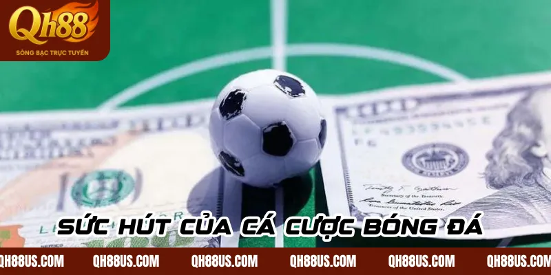 Kèo chẵn lẻ – Bí quyết cá cược trên sân cỏ đỉnh cao 2026