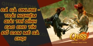 Đá gà - Game kết nối đam mê của những người cá cược