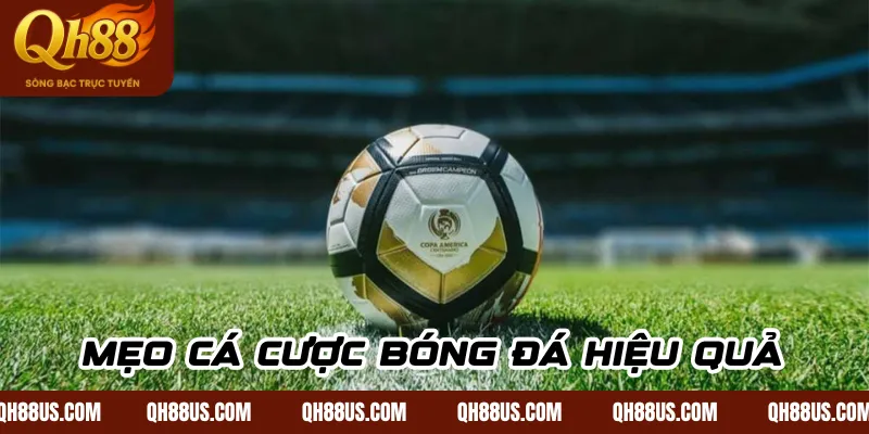 Cá Cược Bóng Đá QH88 – Kinh Nghiệm Chơi Hiệu Quả Và An Toàn Cho Người Mới - QH88