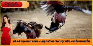 Đá Gà PG66