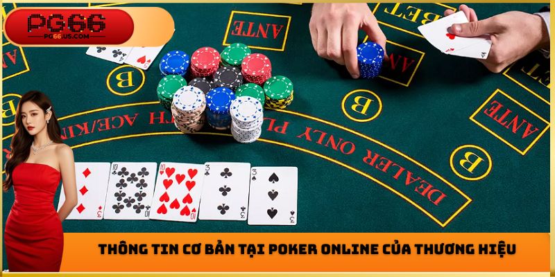 Poker Online PG66 - Thuật Ngữ Quan Trọng Cần Phải Biết