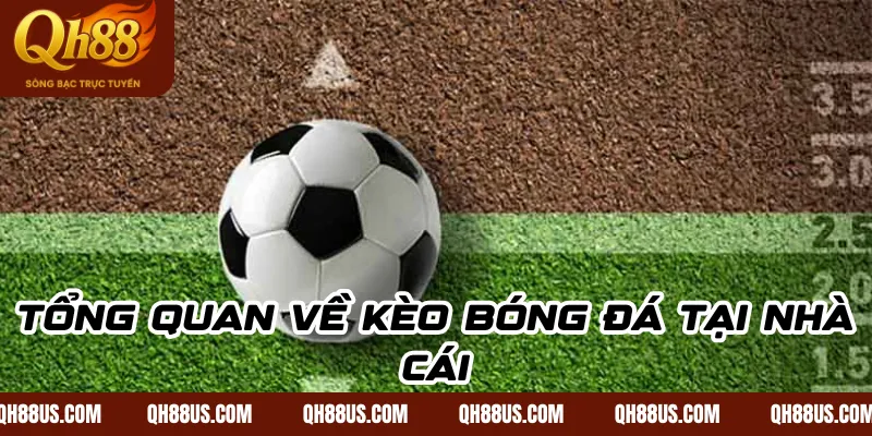 Các loại kèo trong cá độ bóng đá: Hướng dẫn từ A đến Z cho người chơi mới - QH88