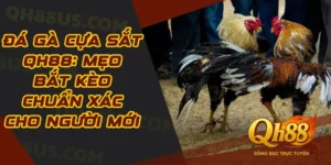 Đá gà - Game kết nối đam mê của những người cá cược