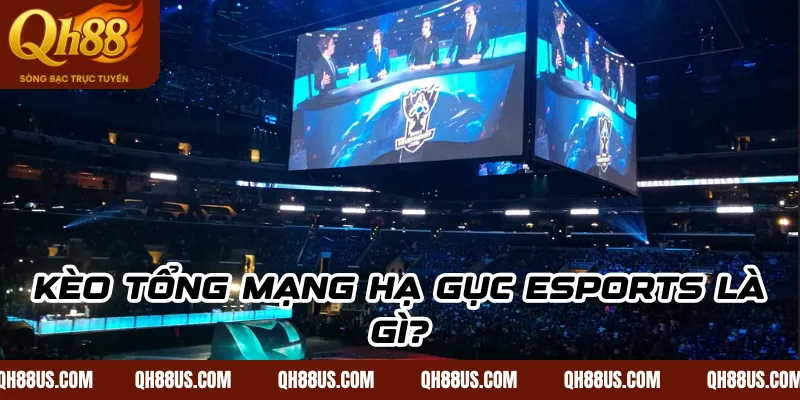 Kèo Tổng Mạng Hạ Gục Esports QH88 – Hiểu Đúng, Chơi Khôn Ngoan - QH88