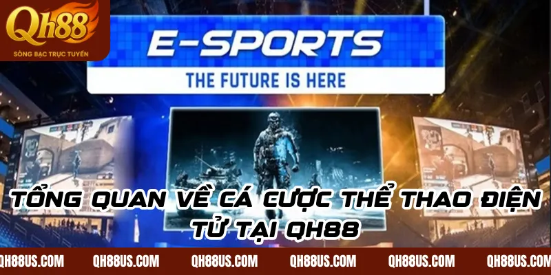 Cá Cược Thể Thao Điện Tử QH88: Bí Quyết Chọn Kèo Thắng Lớn - QH88