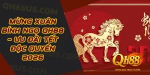 Tin Tức & Sự Kiện QH88 - Cập Nhật Khuyến Mãi, Mẹo Trúng Lớn - QH88