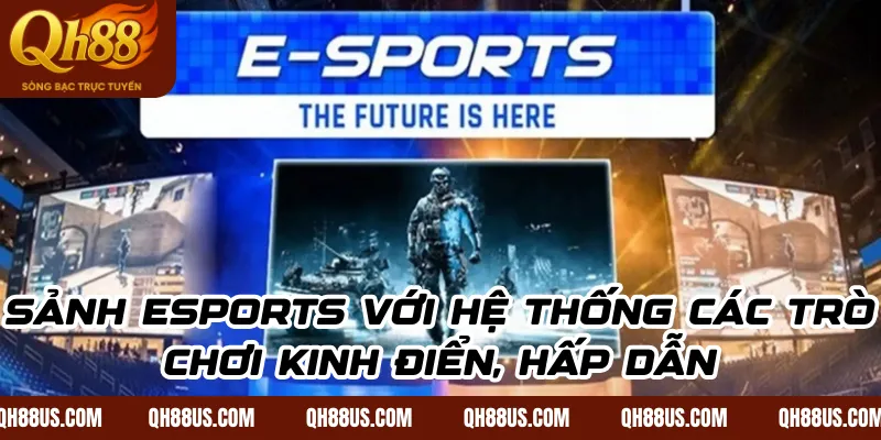 Giới thiệu QH88 – Nhà cái cá cược đẳng cấp nhất thị trường
