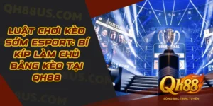 Esports - QH88