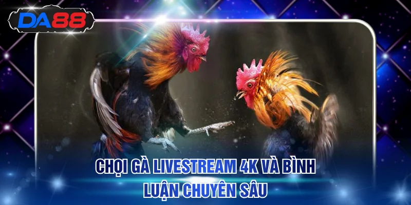 Đá Gà DA88 - Thỏa Mãn Đam Mê Xem Chọi Gà Trực Tiếp 24/7 - DA88