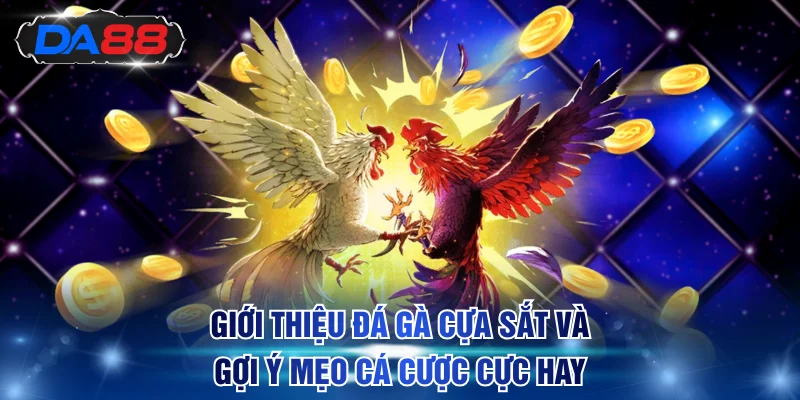 Đá Gà DA88 - Thỏa Mãn Đam Mê Xem Chọi Gà Trực Tiếp 24/7 - DA88