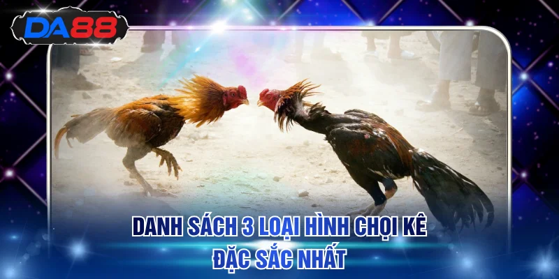 Đá Gà DA88 - Thỏa Mãn Đam Mê Xem Chọi Gà Trực Tiếp 24/7 - DA88