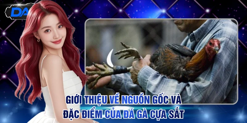 Giới Thiệu Đá Gà Cựa Sắt Và Gợi Ý 3 Mẹo Cá Cược Cực Hay