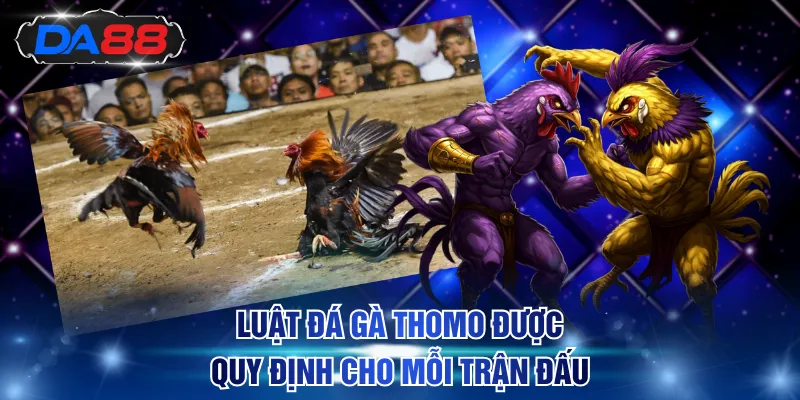 Đá Gà Thomo Trực Tiếp Hôm Nay Tại DA88 - Xem Kèo Cực Chuẩn