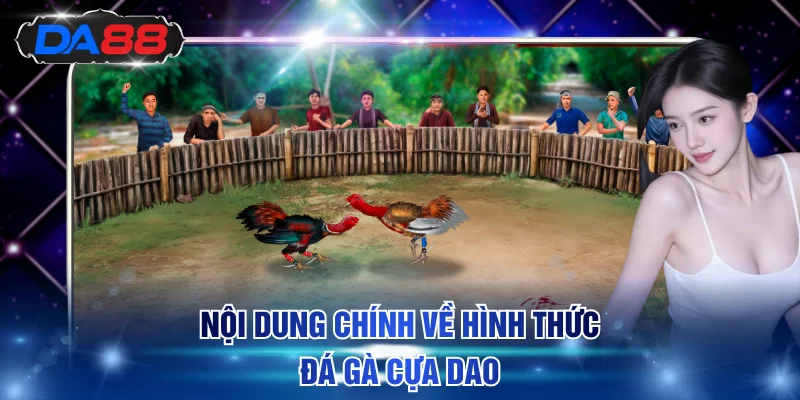 Quy Luật Đá Gà Cựa Dao Dễ Hiểu, Mẹo Cược Dễ Thắng Lớn